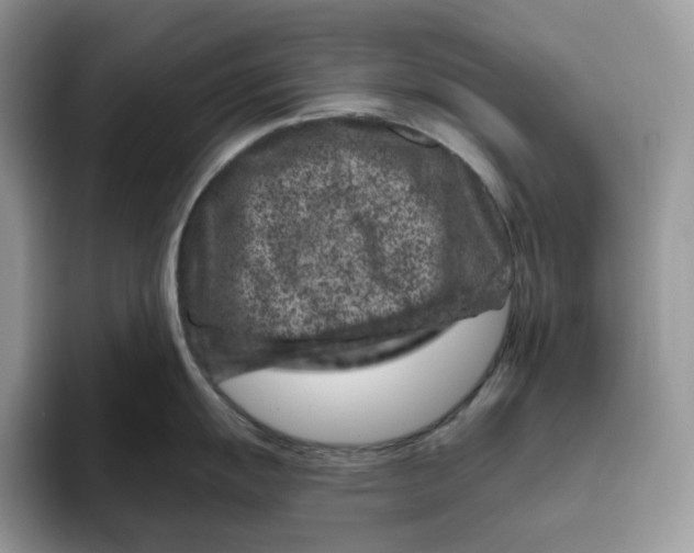 X0000095961055200802011118