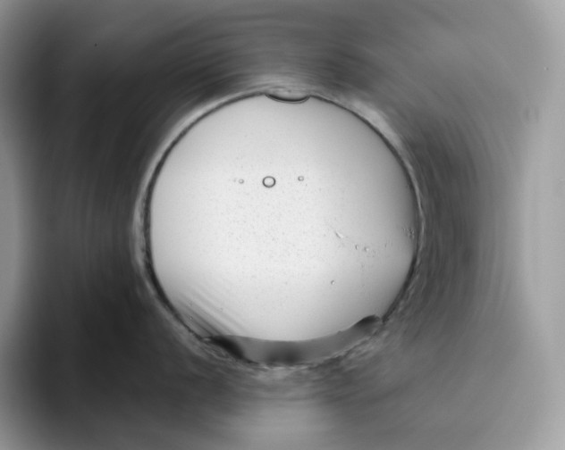 X0000095961056200802011118