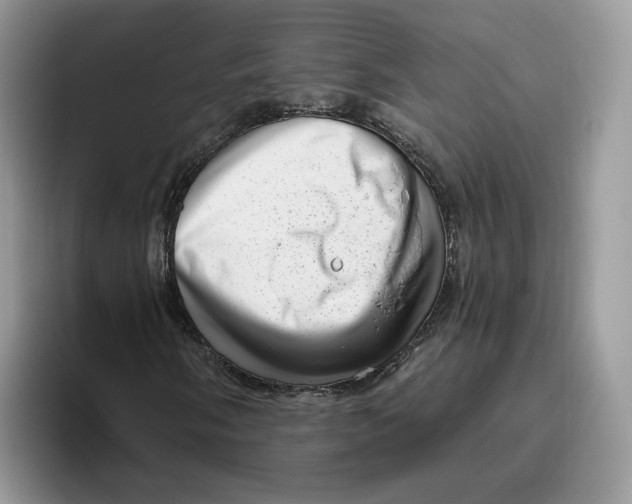 X0000095961058200802011117