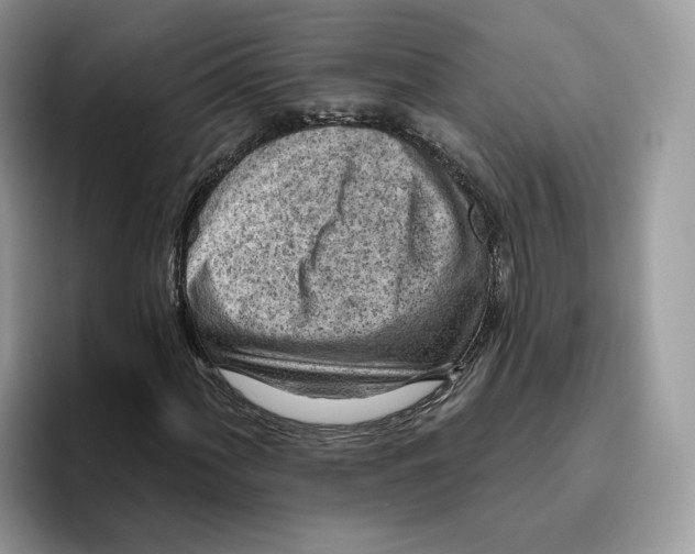 X0000095961060200802011117