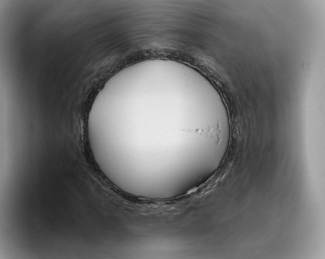 X0000095961061200802011117