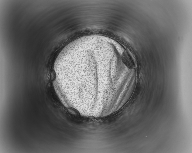 X0000095961062200802011117