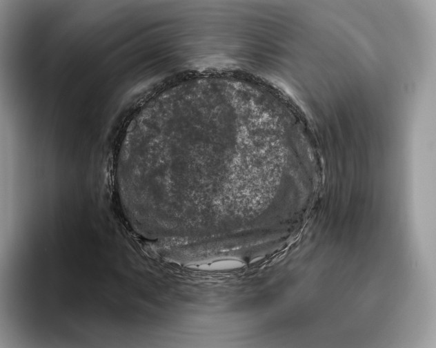 X0000095961063200802011117