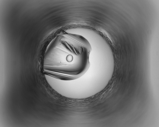 X0000095961064200802011117