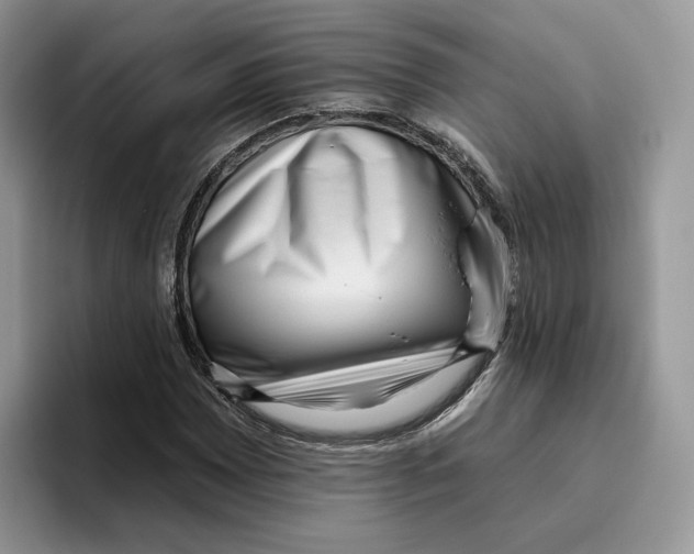 X0000095961065200802011117