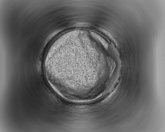 X0000095961066200802011117