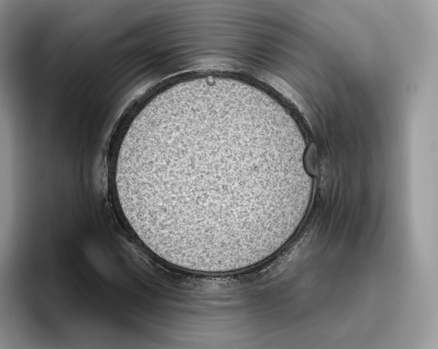 X0000095961067200802011117