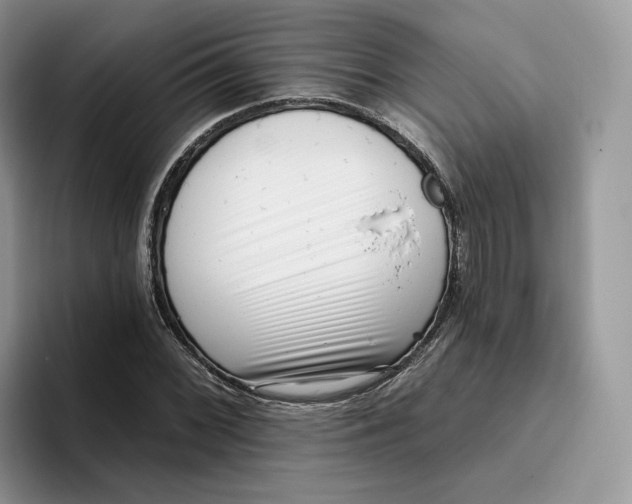 X0000095961068200802011117