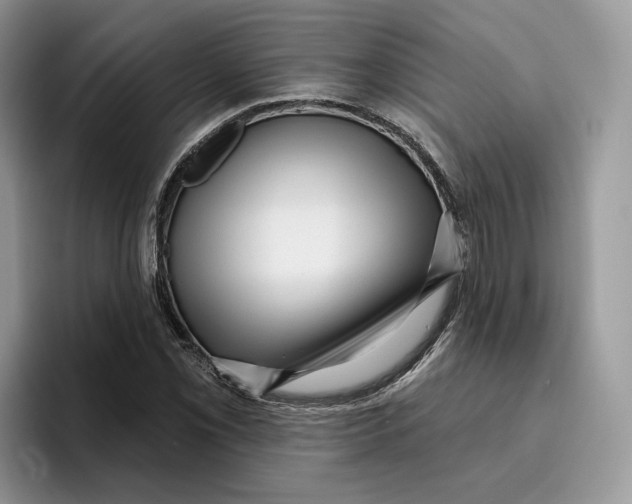 X0000095961069200802011117