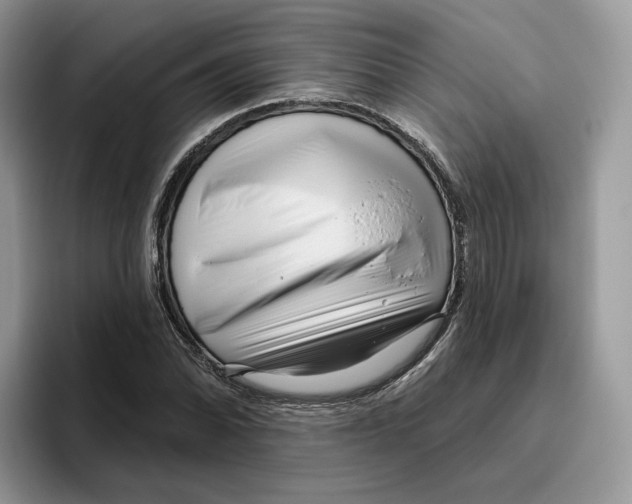 X0000095961070200802011117