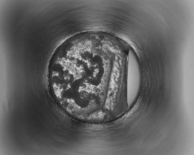 X0000095961071200802011117