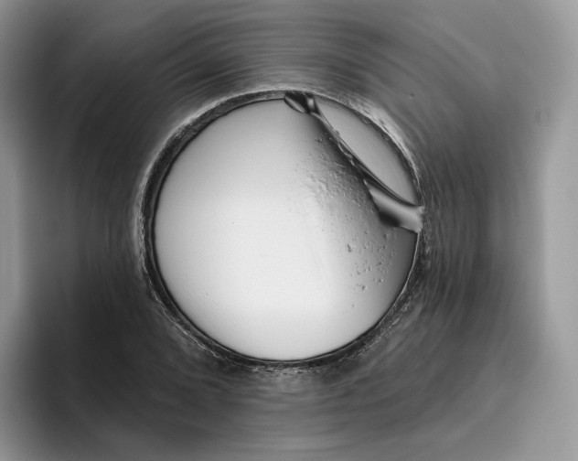 X0000095961072200802011117