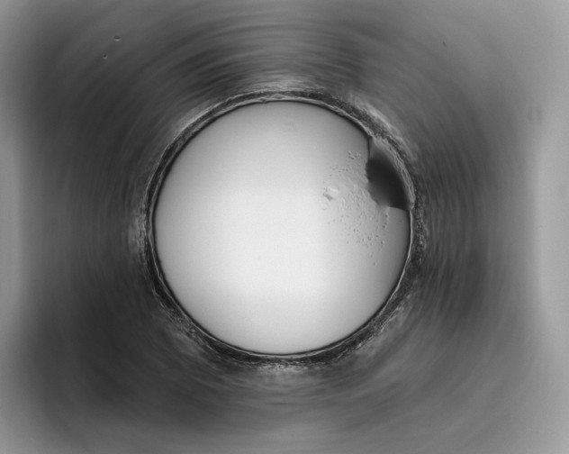 X0000095961073200802011117