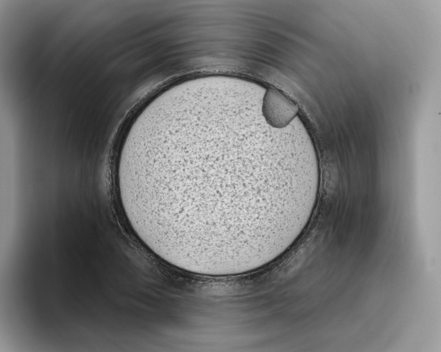 X0000095961074200802011117