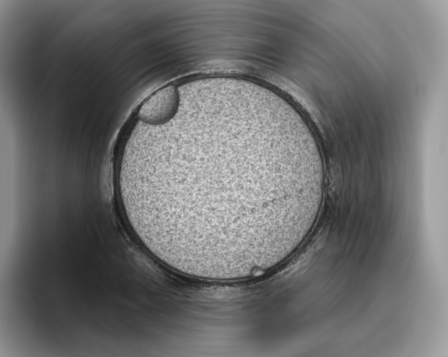 X0000095961075200802011117