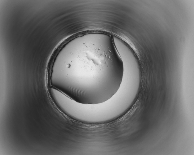 X0000095961076200802011117