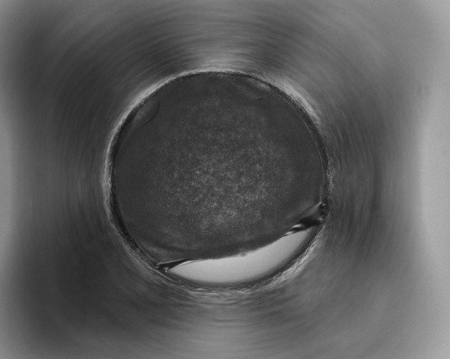 X0000095961077200802011117