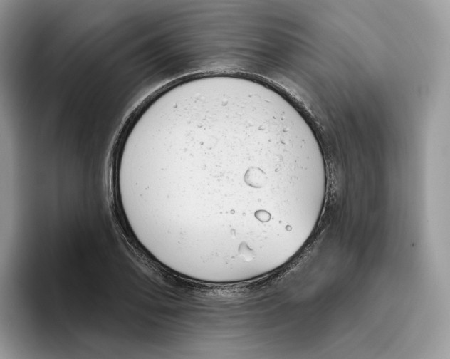 X0000095961078200802011117