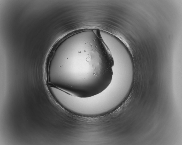 X0000095961080200802011117