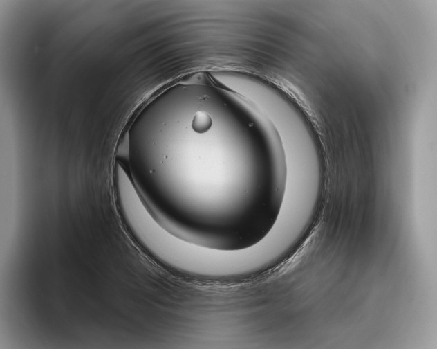 X0000095961081200802011117