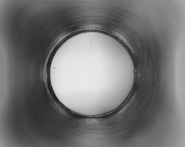 X0000095961082200802011117