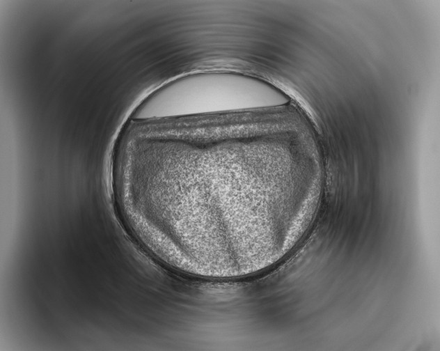 X0000095961083200802011117