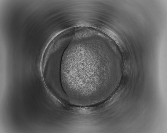 X0000095961084200802011117