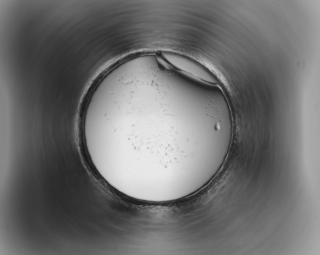 X0000095961085200802011117