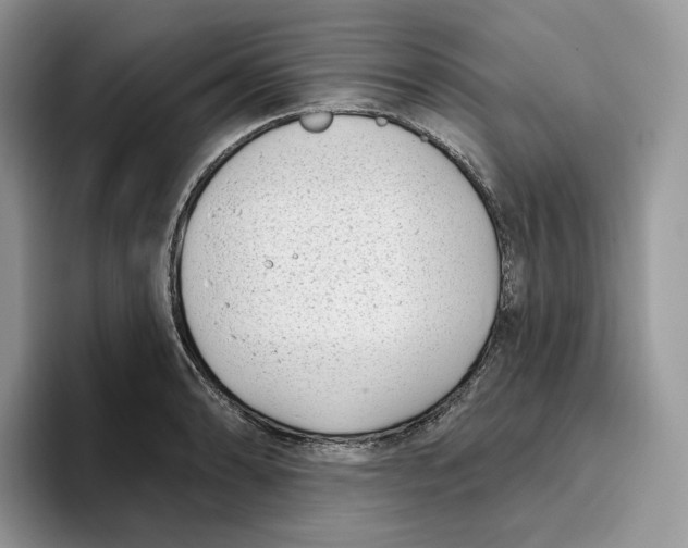 X0000095961086200802011117