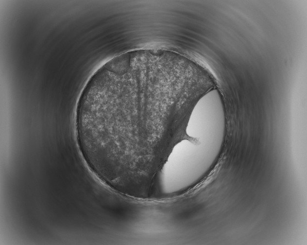 X0000095961087200802011117