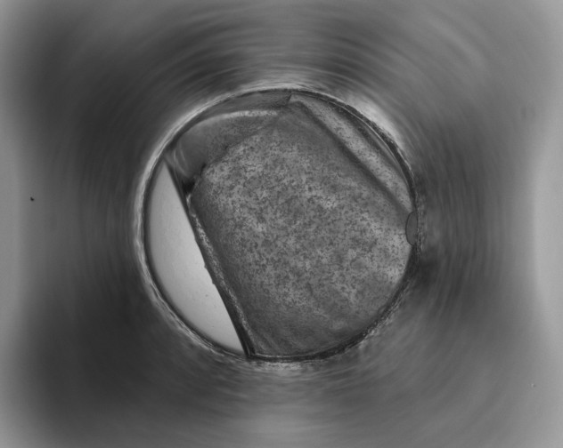 X0000095961088200802011117