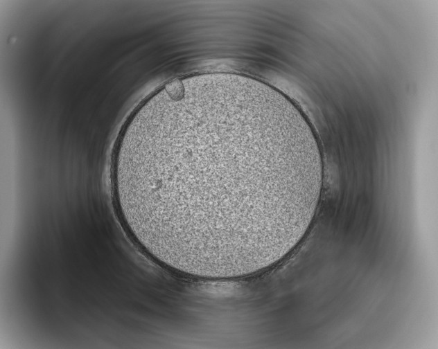 X0000095961090200802011117