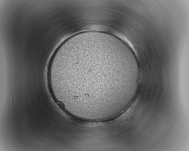 X0000095961091200802011117