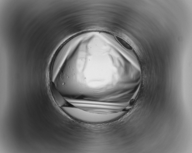 X0000095961092200802011117