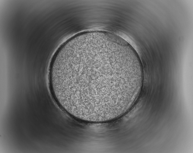 X0000095961093200802011117