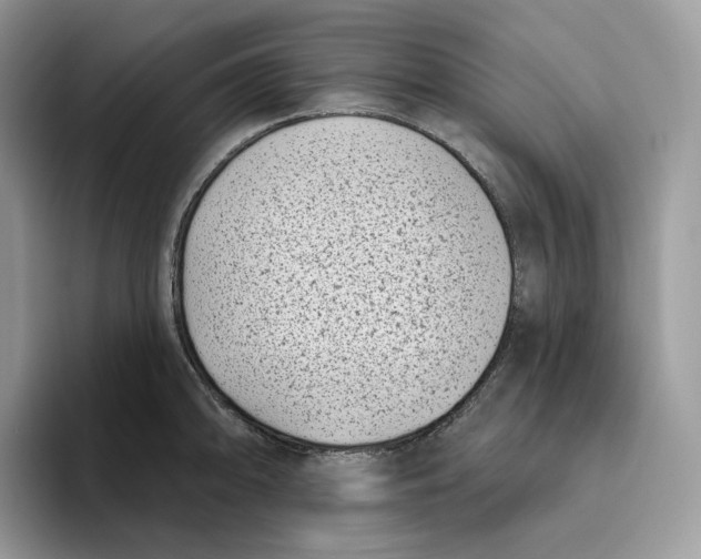 X0000095961094200802011117