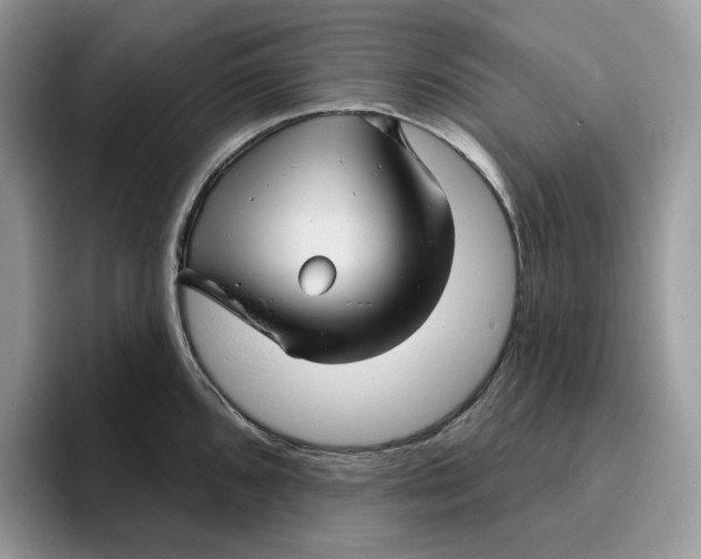 X0000095961096200802011117