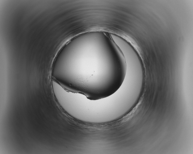 X0000095961097200802011117