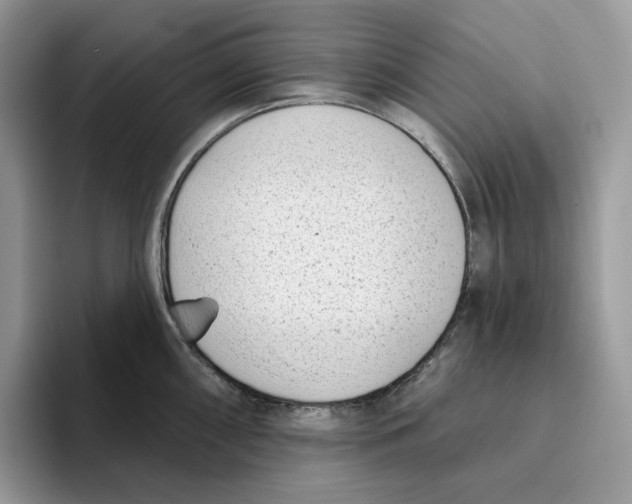 X0000095961098200802011117