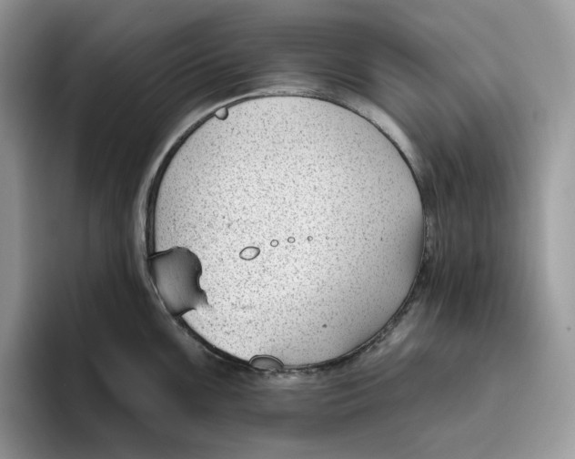 X0000095961099200802011117