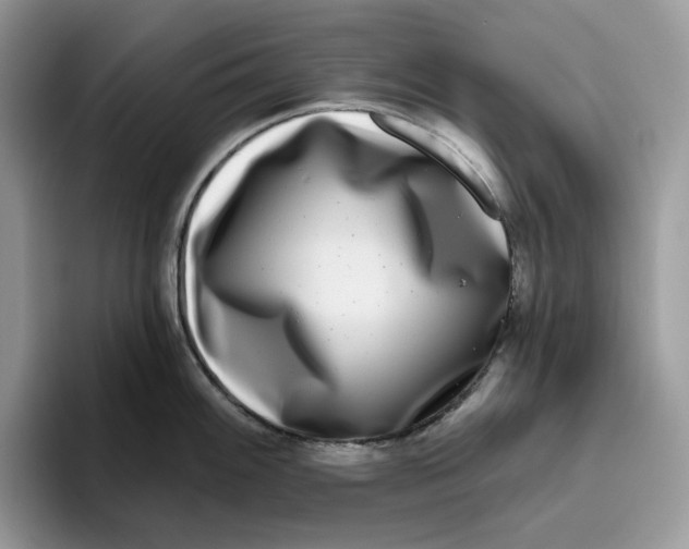 X0000095961100200802011117