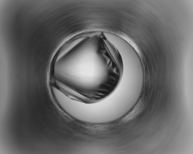 X0000095961101200802011117