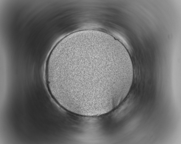 X0000095961103200802011117