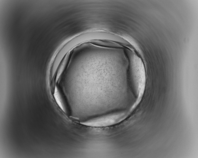 X0000095961104200802011117