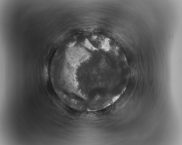 X0000095961106200802011116