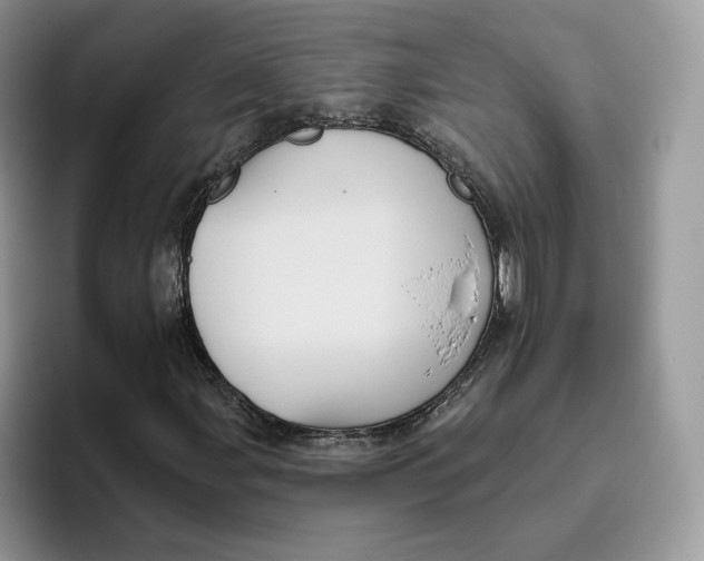 X0000095961107200802011116