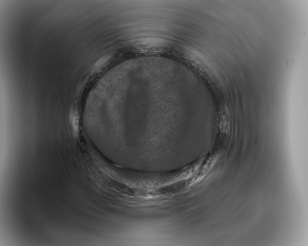 X0000095961108200802011116