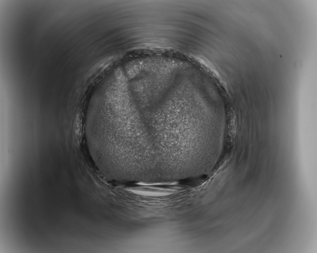 X0000095961110200802011116