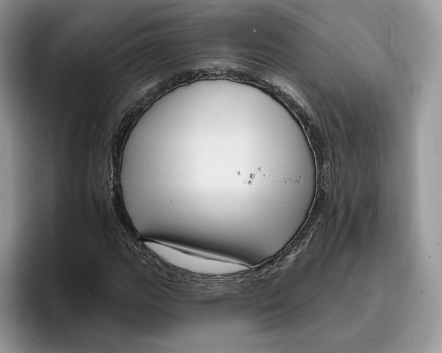 X0000095961111200802011116