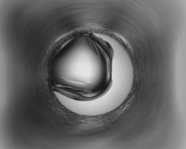 X0000095961112200802011116